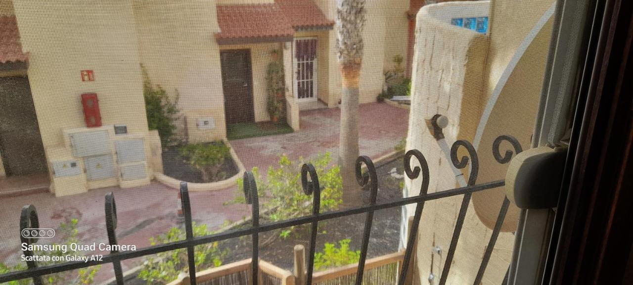Surf & Chill Bungalow 69, Quiet Green Oasis With Community Swimmingpool Parque Holandes エクステリア 写真