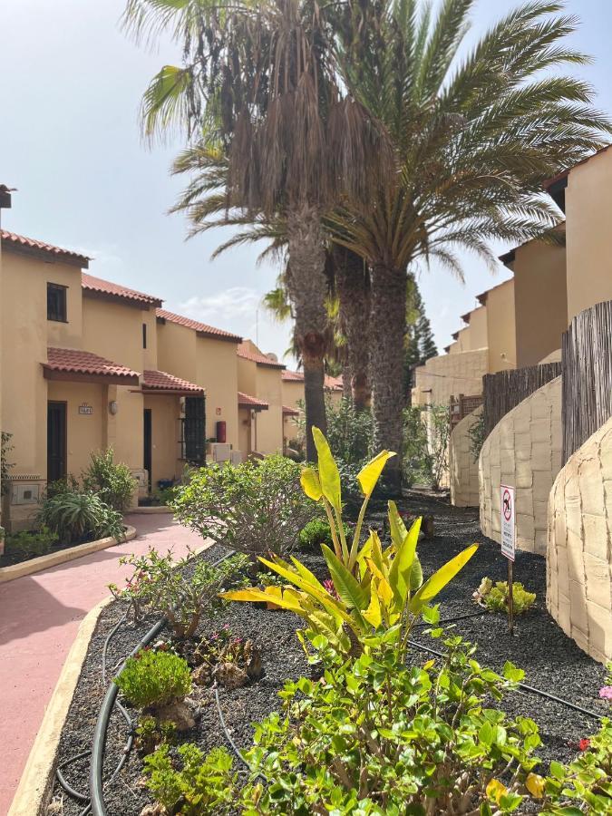 Surf & Chill Bungalow 69, Quiet Green Oasis With Community Swimmingpool Parque Holandes エクステリア 写真