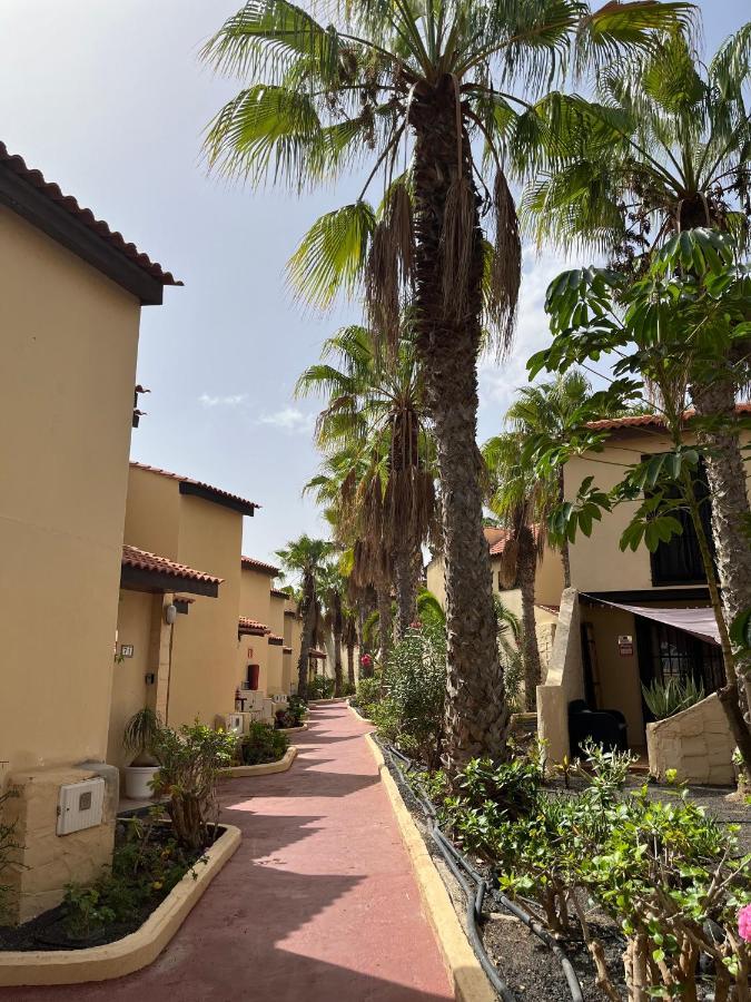 Surf & Chill Bungalow 69, Quiet Green Oasis With Community Swimmingpool Parque Holandes エクステリア 写真
