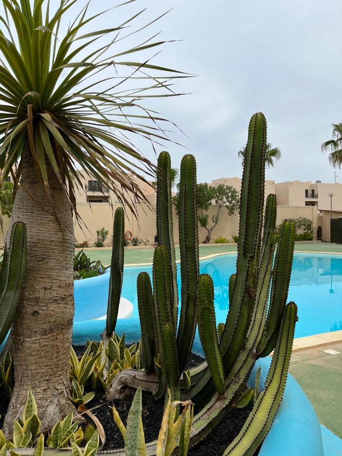 Surf & Chill Bungalow 69, Quiet Green Oasis With Community Swimmingpool Parque Holandes エクステリア 写真