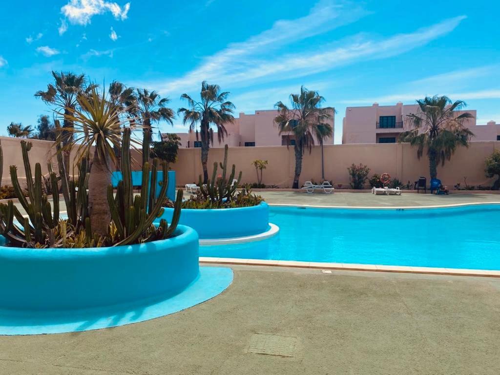 Surf & Chill Bungalow 69, Quiet Green Oasis With Community Swimmingpool Parque Holandes エクステリア 写真