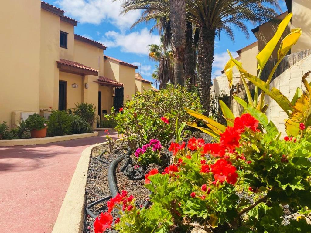 Surf & Chill Bungalow 69, Quiet Green Oasis With Community Swimmingpool Parque Holandes エクステリア 写真