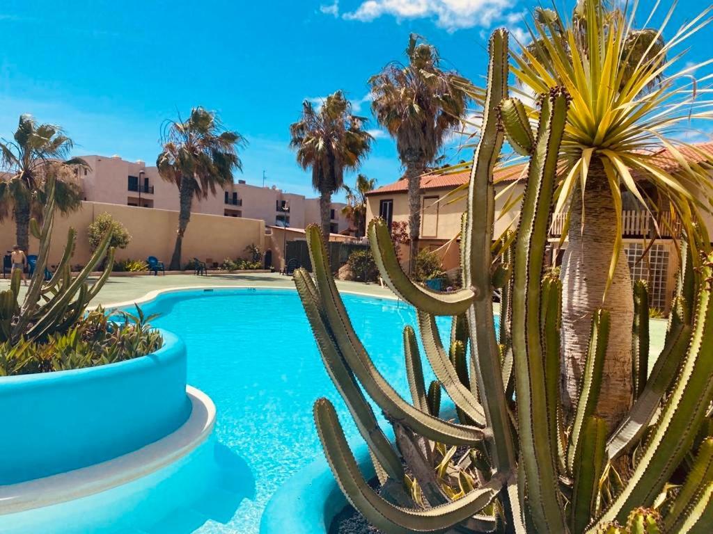 Surf & Chill Bungalow 69, Quiet Green Oasis With Community Swimmingpool Parque Holandes エクステリア 写真